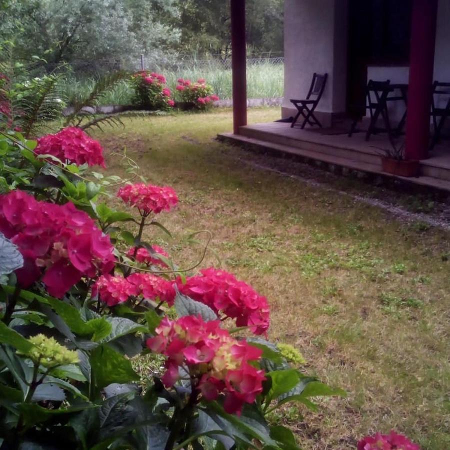 Camping Playa Sauces Ribadesella Exteriör bild